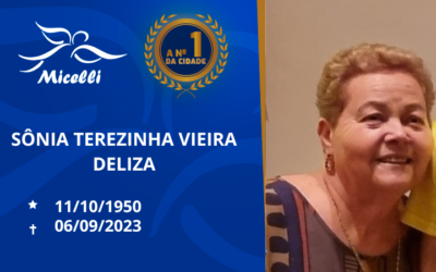 SÔNIA TEREZINHA VIEIRA DELIZA