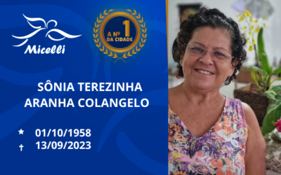 SÔNIA TEREZINHA ARANHA COLANGELO