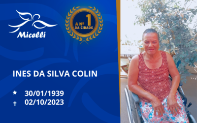 INES DA SILVA COLIN