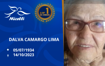 DALVA CAMARGO LIMA