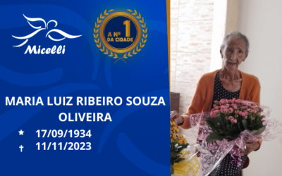 MARIA LUIZ RIBEIRO SOUZA OLIVEIRA