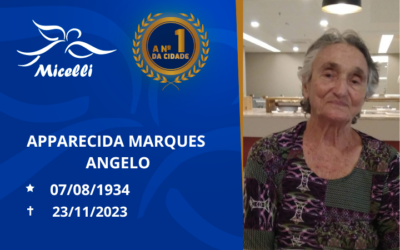 APPARECIDA MARQUES ANGELO “TITA”