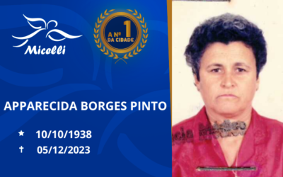 APPARECIDA BORGES PINTO