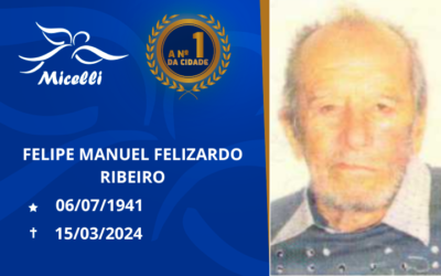 FELIPE MANUEL FELIZARDO RIBEIRO