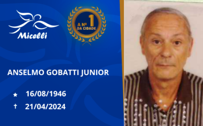 ANSELMO GOBATTI JUNIOR