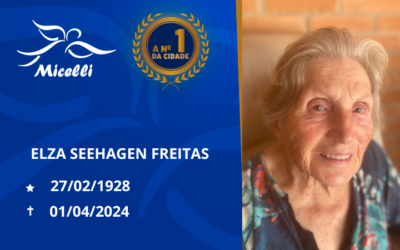 ELZA SEEHAGEN FREITAS