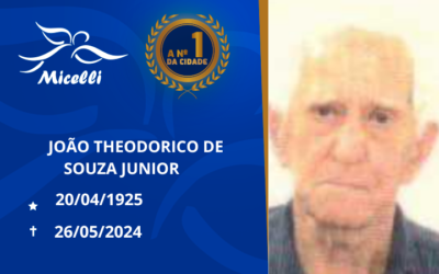 JOÃO THEODORICO DE SOUZA JUNIOR