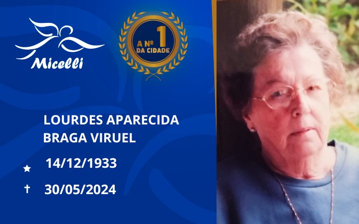 LOURDES APARECIDA BRAGA VIRUEL