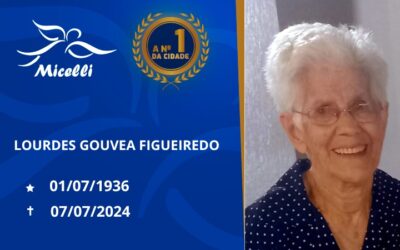 LOURDES GOUVEA FIGUEIREDO