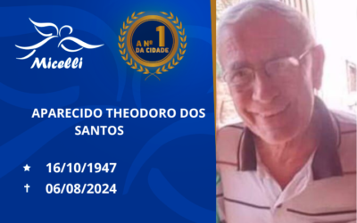 APARECIDO THEODORO DOS SANTOS