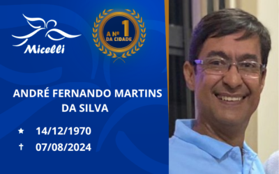 ANDRÉ FERNANDO MARTINS DA SILVA