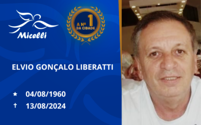 ELVIO GONÇALO LIBERATTI