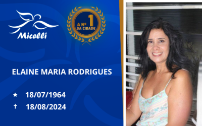 ELAINE MARIA RODRIGUES