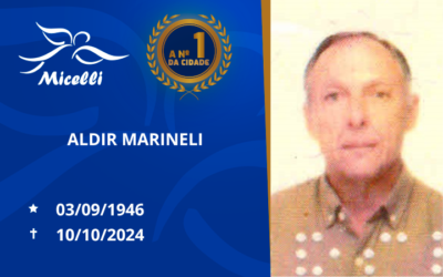 ALDIR MARINELI