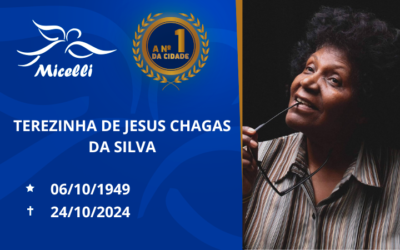 TEREZINHA DE JESUS CHAGAS DA SILVA