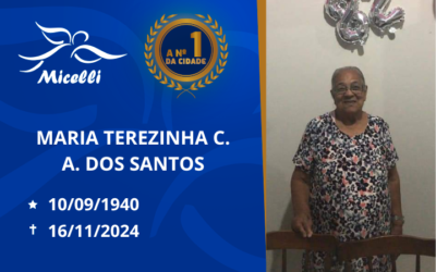 MARIA TEREZINHA C. A. DOS SANTOS