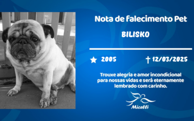 BILISKO