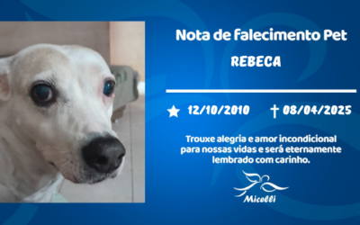 REBECA