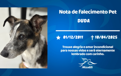DUDA
