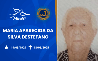 MARIA APARECIDA DA SILVA DESTEFANO