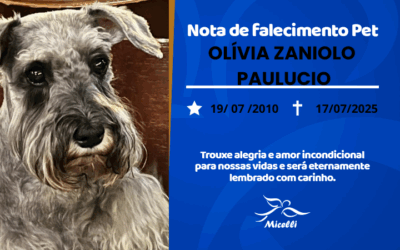 OLÍVIA ZANIOLO PAULUCIO