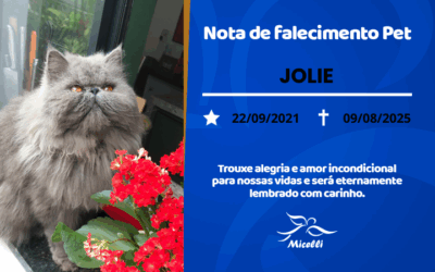 JOLIE