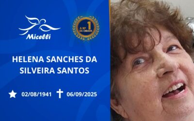 HELENA SANCHES DA SILVEIRA SANTOS