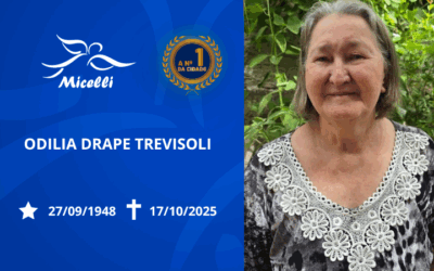 ODILIA DRAPE TREVISOLI