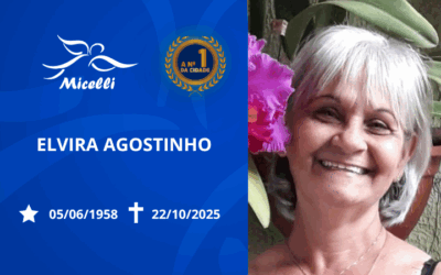 ELVIRA AGOSTINHO