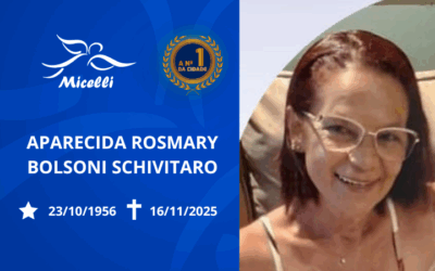 APARECIDA ROSMARY BOLSONI SCHIVITARO
