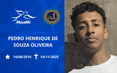 PEDRO HENRIQUE DE SOUZA OLIVEIRA