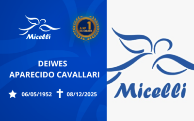 DEIWES APARECIDO CAVALLARI