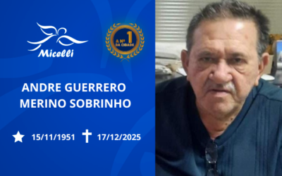 ANDRE GUERRERO MERINO SOBRINHO