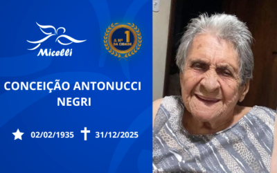 CONCEIÇÃO ANTONUCCI NEGRI