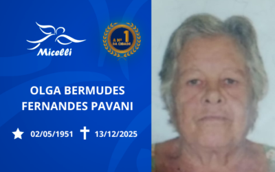 OLGA BERMUDES FERNANDES PAVANI