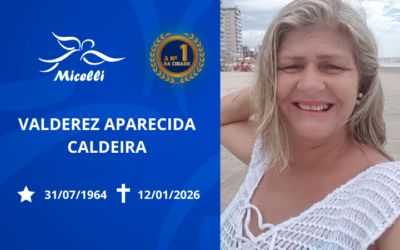 VALDEREZ APARECIDA CALDEIRA