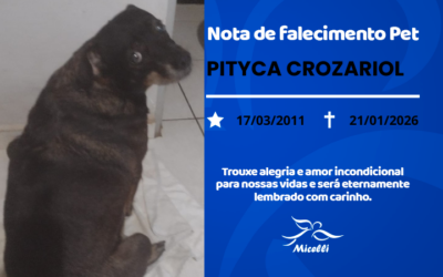 PITYCA CROZARIOL