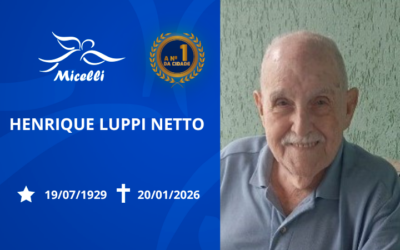 HENRIQUE LUPPI NETTO