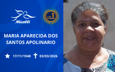 MARIA APARECIDA DOS SANTOS APOLINARIO (NENA)